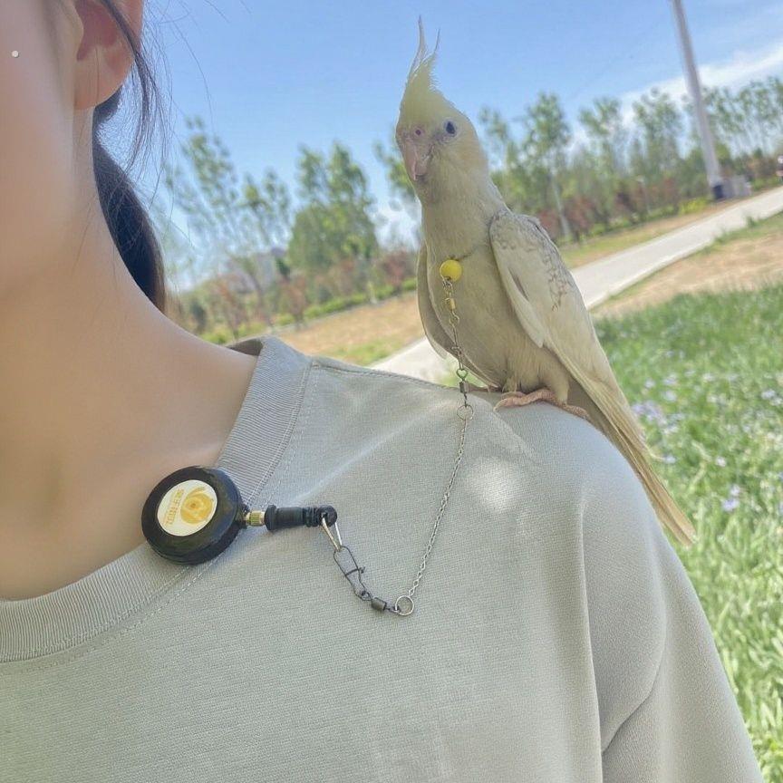 鹦鹉蜜袋鼯外出牵引绳训练绳鹦鹉伸缩放飞绳防咬飞行脚链牡丹可夹