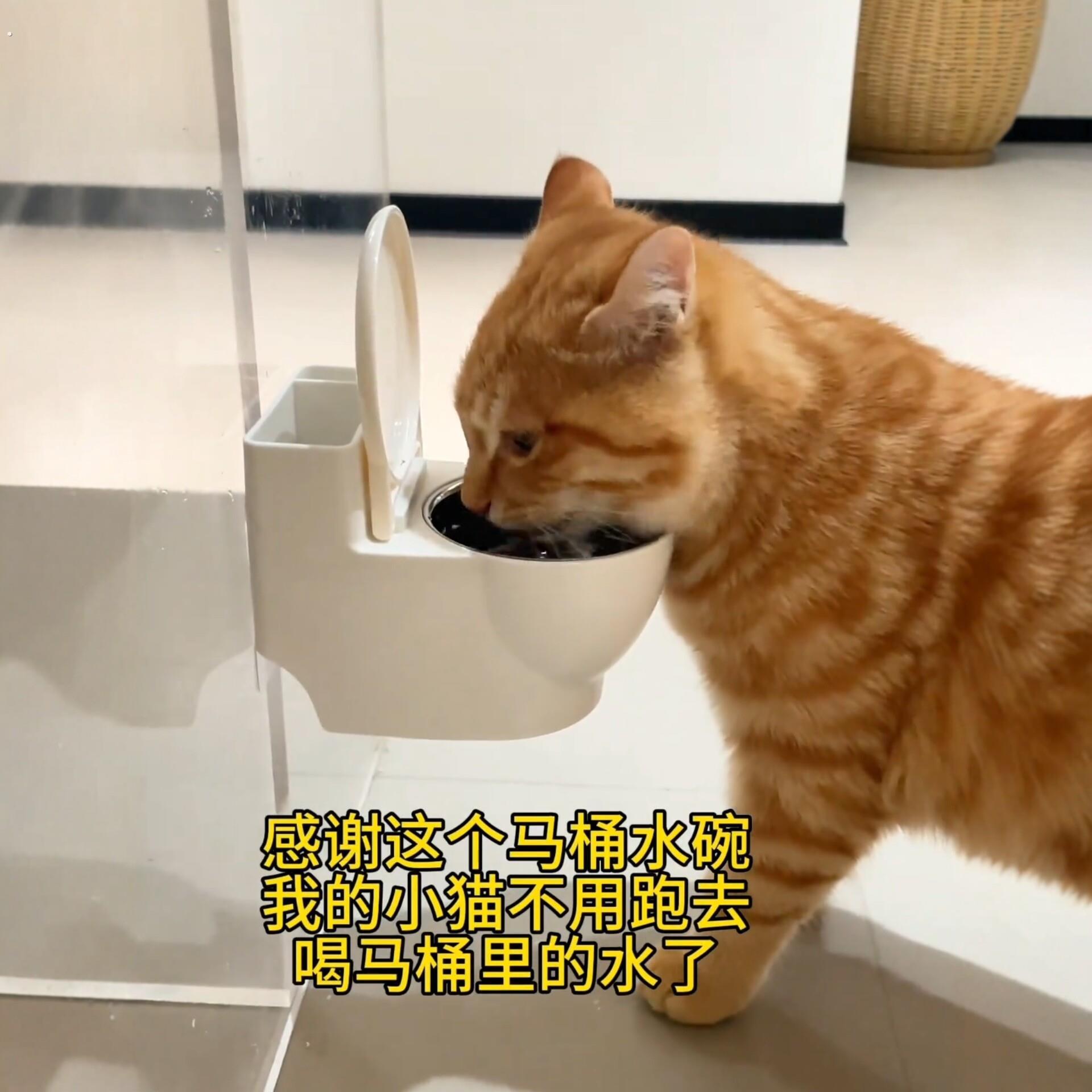 马桶水碗防打翻猫咪喝水碗小猫饮水器宠物骗水神器悬挂式护颈猫碗