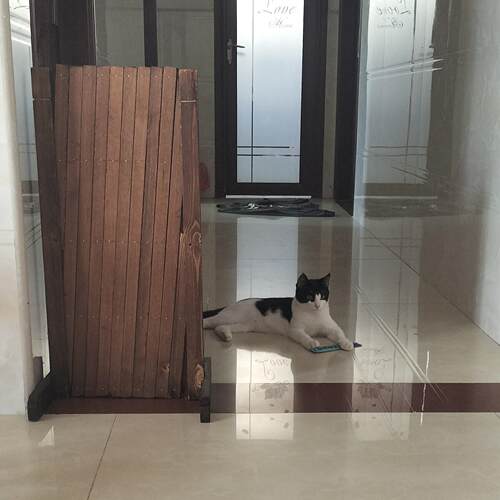 宠物围栏可伸缩门户外室内伸缩隔断拦猫拦狗栅栏挡板隔离门免打孔