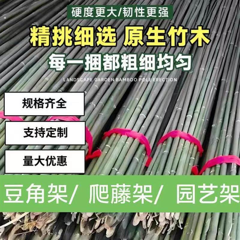 豆角黄瓜西红柿种菜架子竹子支撑杆三角梅支架杆竹子篱笆蚊帐支架