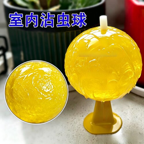 室内诱蝇球粘蝇球果蝇球粘捕小飞虫灭蝇安全环保持久厨房厕所WT2