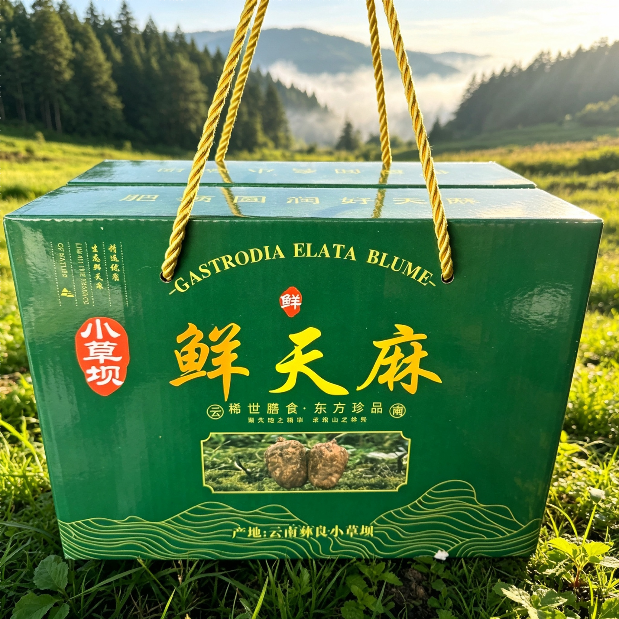 高端仿野生无硫特级乌天麻礼盒装