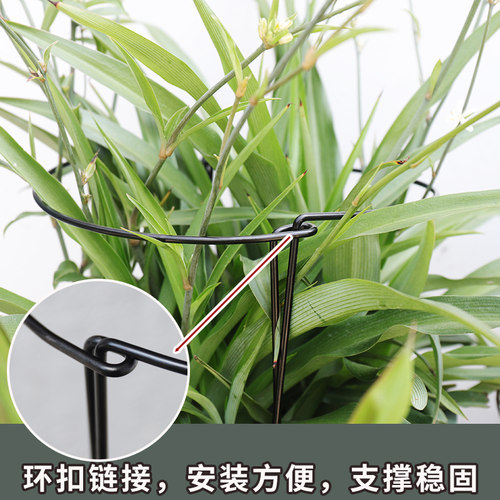 园艺支架半圆形铁艺支架种花支撑架防倒固定铁架子多功能组合架子