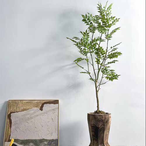 侘寂风绿植落地花器整挖实木桶民宿茶室造景植物装饰品摆件大花瓶