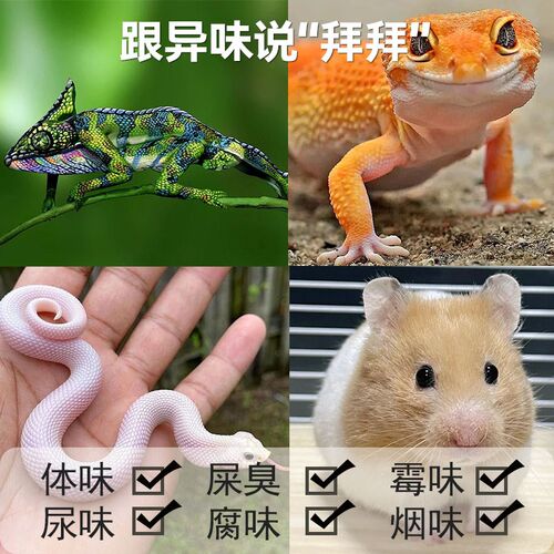 爬宠除臭喷雾爬虫饲养箱树蛙蜥蜴守宫仓鼠宠物蛇消毒祛除异味喷剂