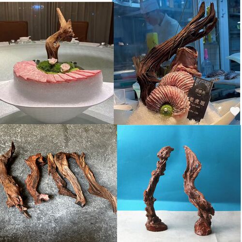 海鲜姿造背景装饰天然树枝天然木棍盘式创意根雕造型摆件干树枝