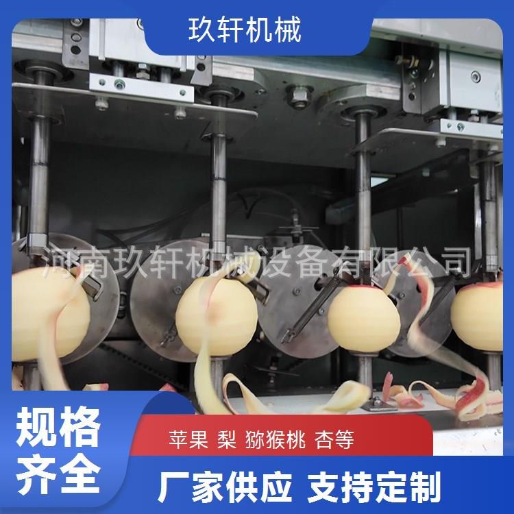 多工位猕猴桃削皮机全自动四工位奇异果削皮机