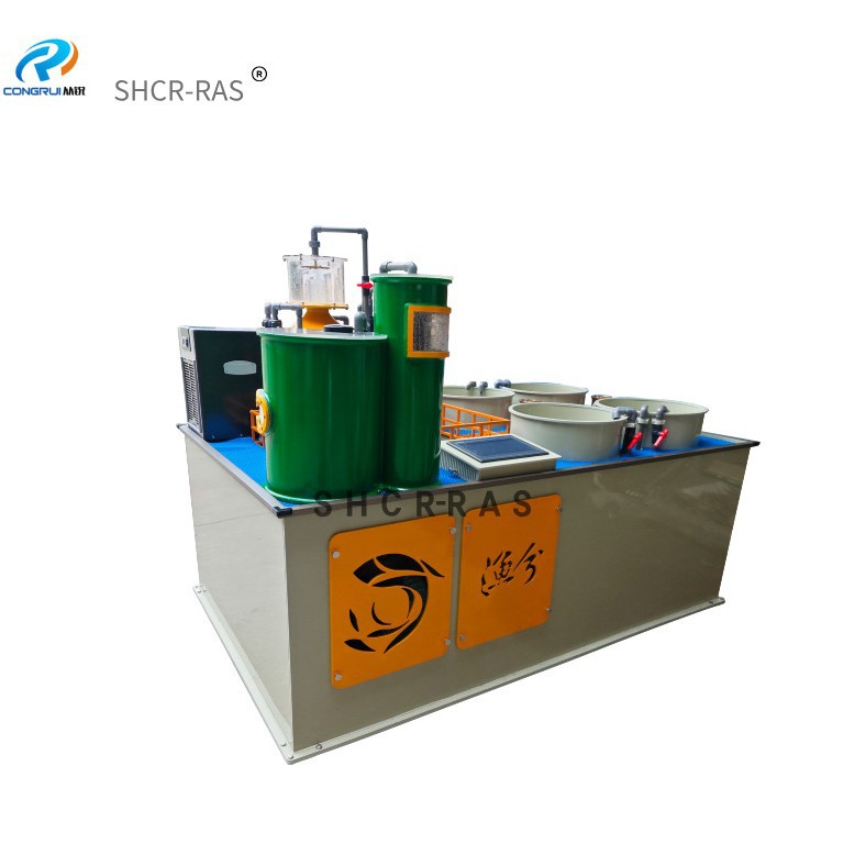 工厂化循环水养殖系统展示平台小型教学养殖模型