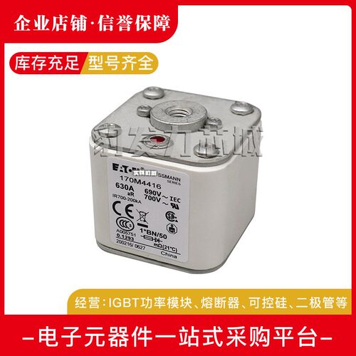170M44c64 170M4465 170M4466 170M4467 170M4468 170M4469熔断器
