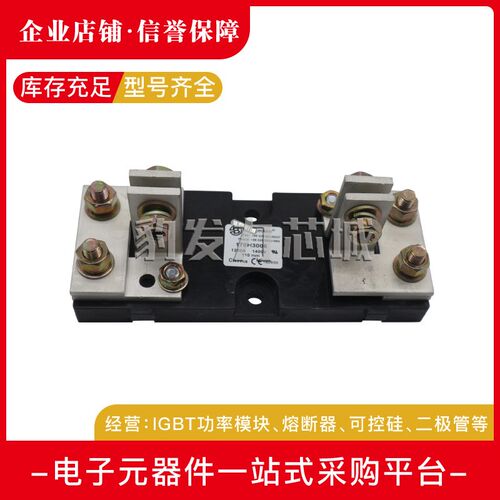170H3003 170iH3004 170H3005 170H3006 170H1007 170H1013熔断器
