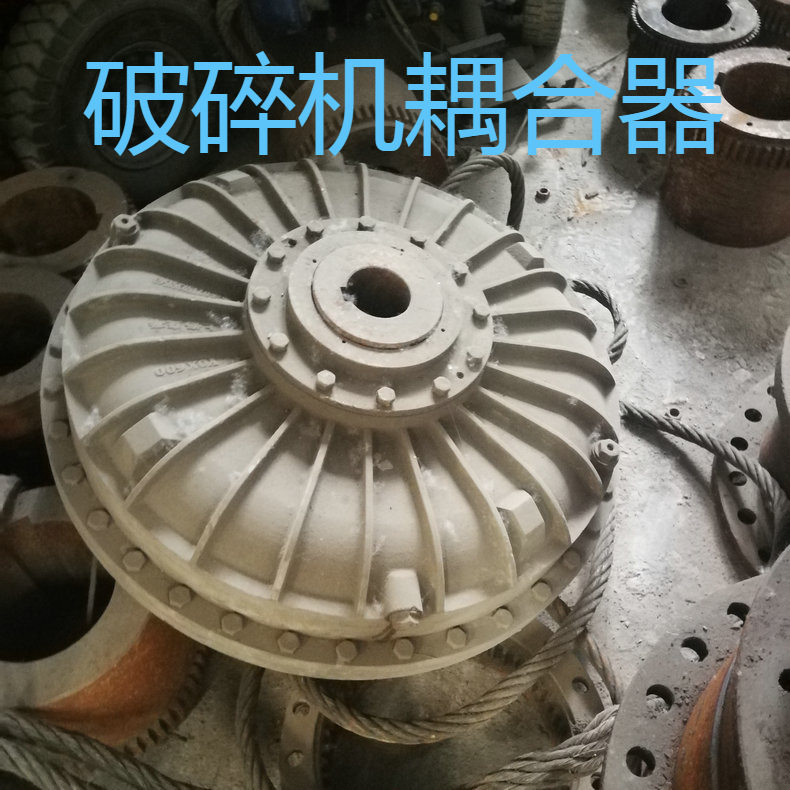 破碎机提升机耦合器长期供应