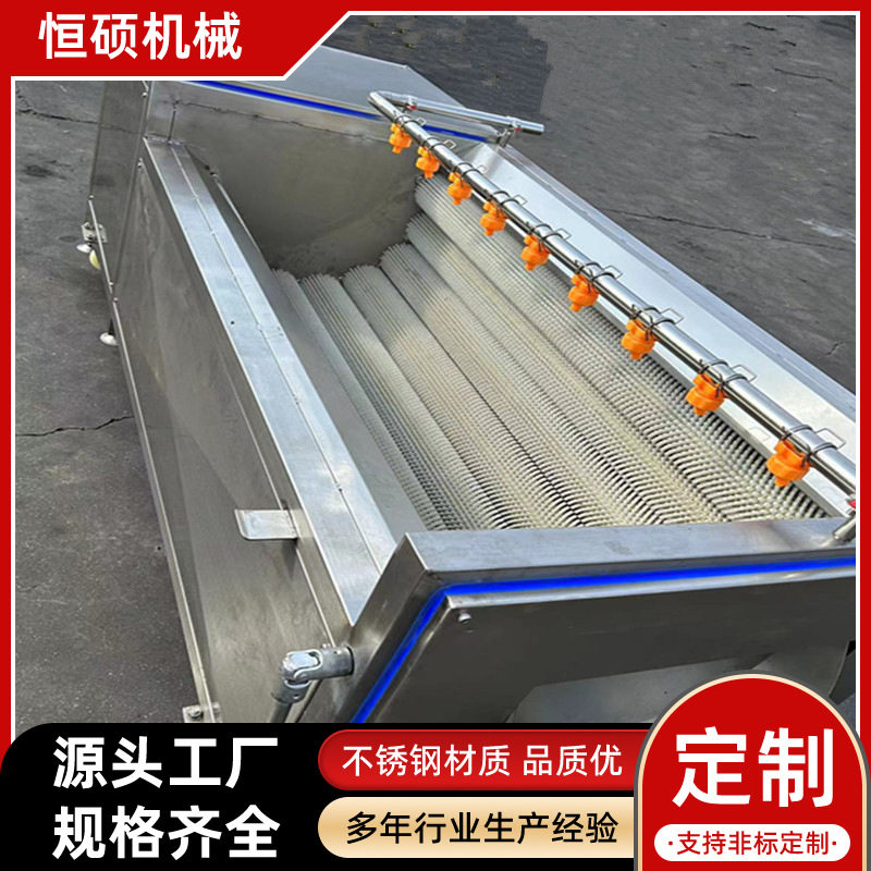 全自动果蔬毛辊去杂清洗机