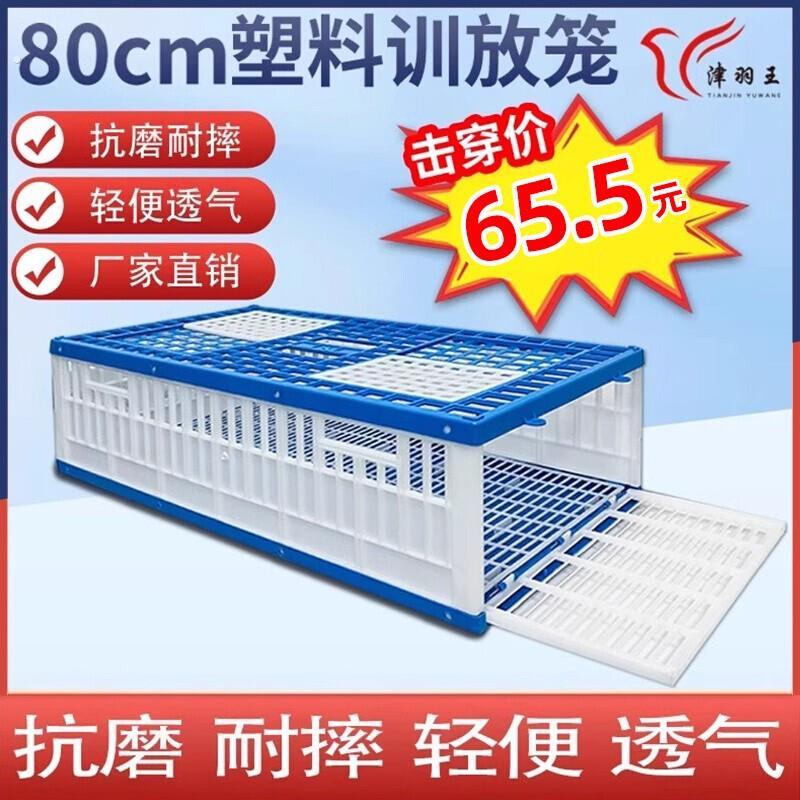 鸽子放飞笼大鸽子笼家用塑料专用放飞笼折叠训鸽笼信鸽赛鸽训放笼