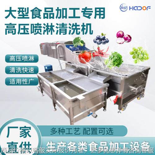 果蔬清洗连续式压喷淋清洗机 草莓蓝莓清洗设备 去残留不伤表皮