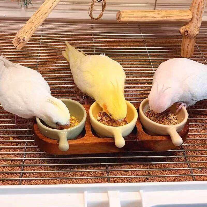鹦鹉食盒陶瓷鸟用食罐食碗粮食饲料盆虎皮牡丹玄凤鹦鹉鸟饲料盆