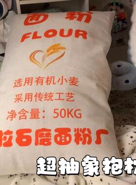 抽象抱枕搞怪风面粉水泥玩偶彷真大米袋沙发靠垫毛绒睡觉柔软枕头