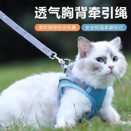 小猫牵引绳防挣脱遛毛孩子专用神器背心式可伸缩外出的衣服溜绳子