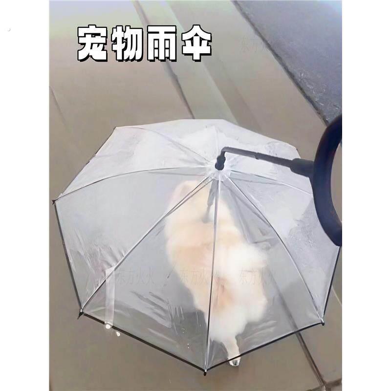 宠物雨伞狗狗牵引绳加粗可调节泰迪柯基中小型犬夏季雨天遛狗神器