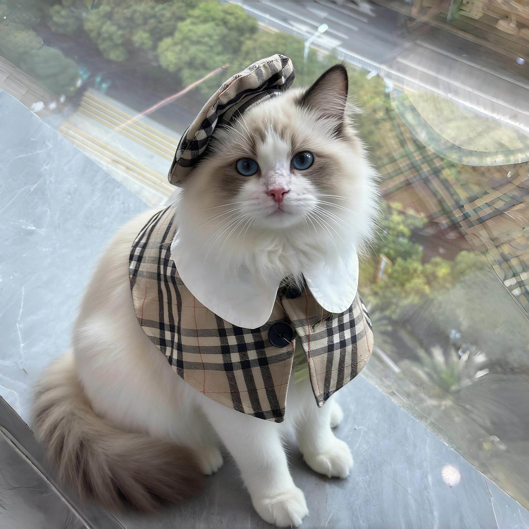 宠物披肩衣服狗狗猫咪春夏薄款体型通用英伦风潮可爱宠物斗篷套装