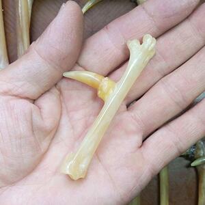 鸡蹬子纯天然精品鸡爪爪子文玩传统手把件骨玩