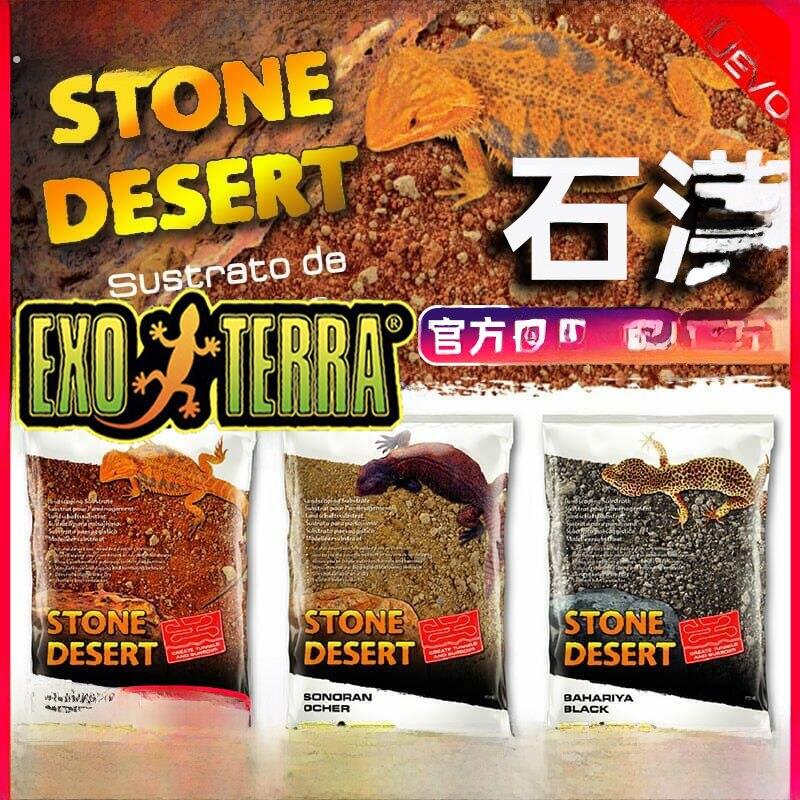 西晋爬行动物石沙漠垫沙土沙漠爬行动物蜥蜴壁虎乌龟鬃狮沙漠景观