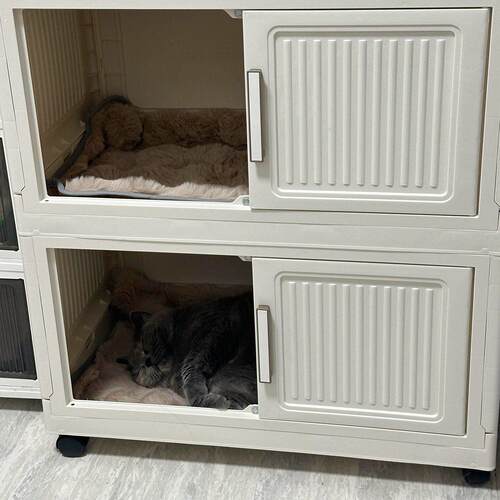 可折叠猫窝四季通用半封闭上下两层猫别墅家用双层猫笼收纳箱猫屋