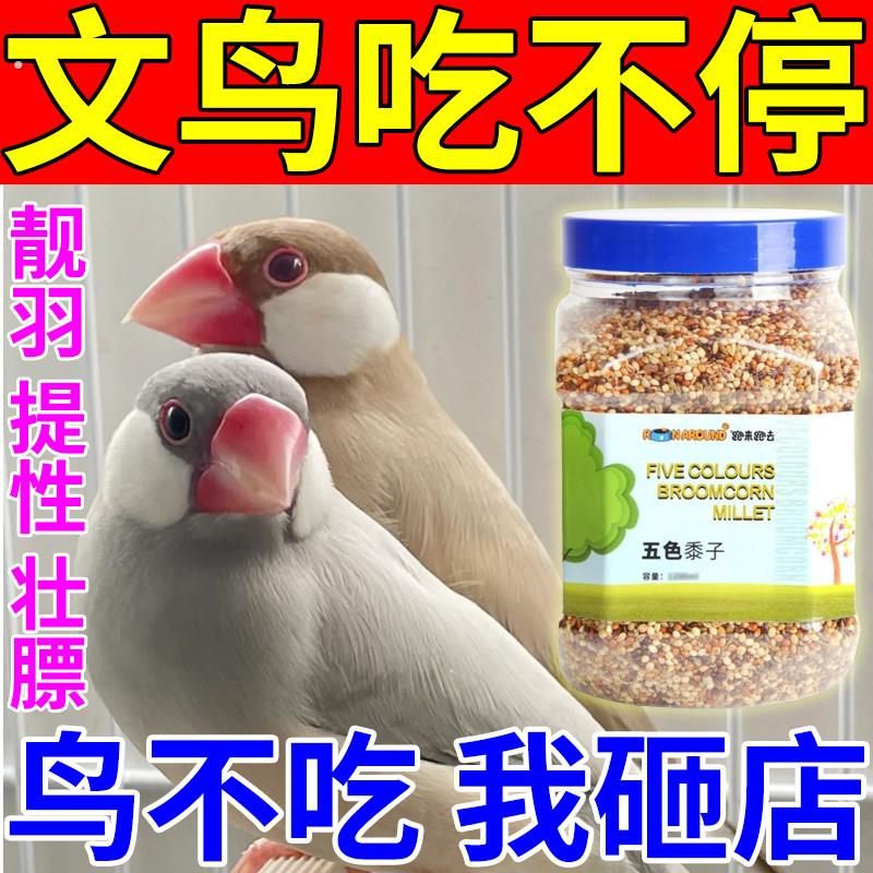 文鸟粮食鸟粮小型鸟珍珠鸟食黄谷子带壳饲料芙蓉鸟玉鸟粮混合饲料