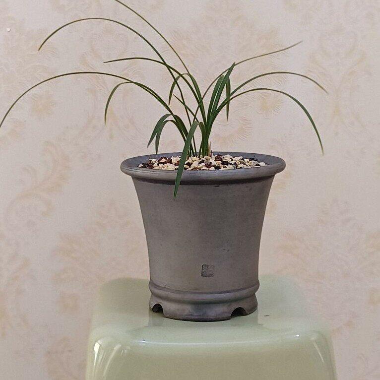 矮七寸手工泥瓦盆春兰盆手工制作透气透水非物质文化遗产