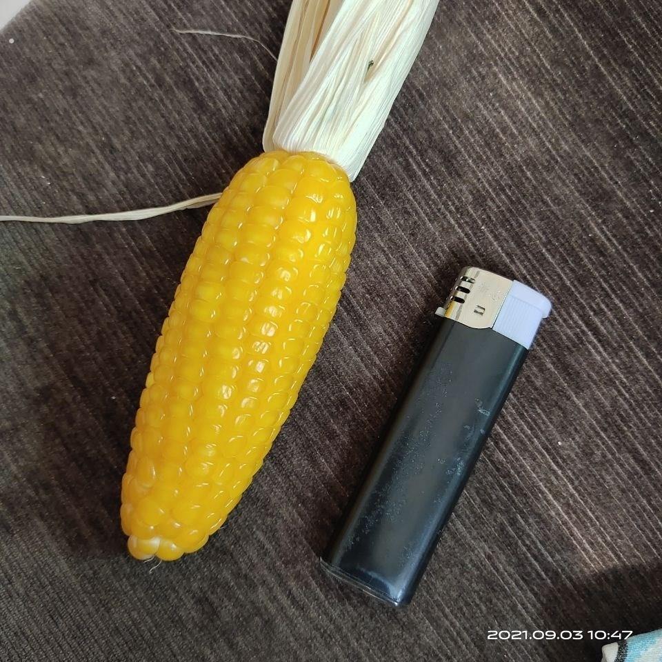 文玩玉米手把件玉米挂件仓鼠磨牙玉米文玩迷你小玉米文玩可爱苞米