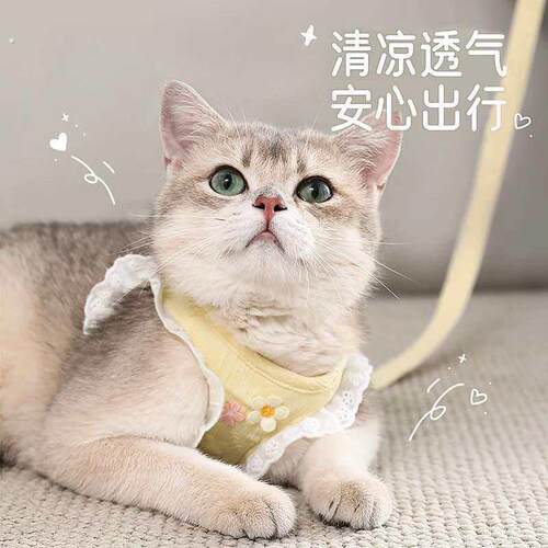 猫咪牵引绳防挣脱外出专用溜猫背心式胸抱婴袋小型犬狗狗防跑遛猫