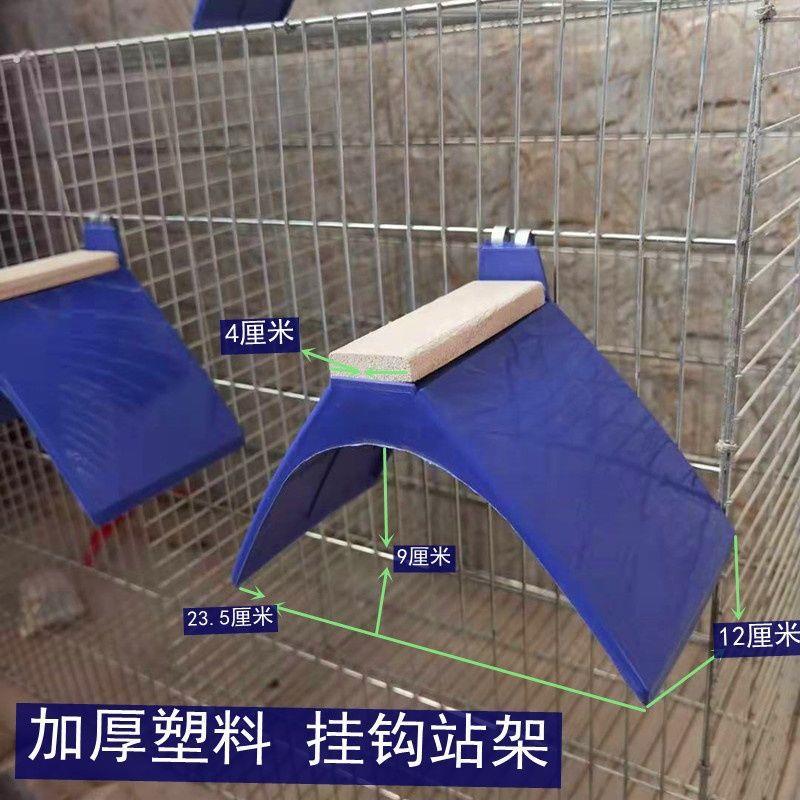 赛鸽信鸽专用塑料蛋窝 鸽子挂钩站架鸽子用品用具鸽具栖架站架