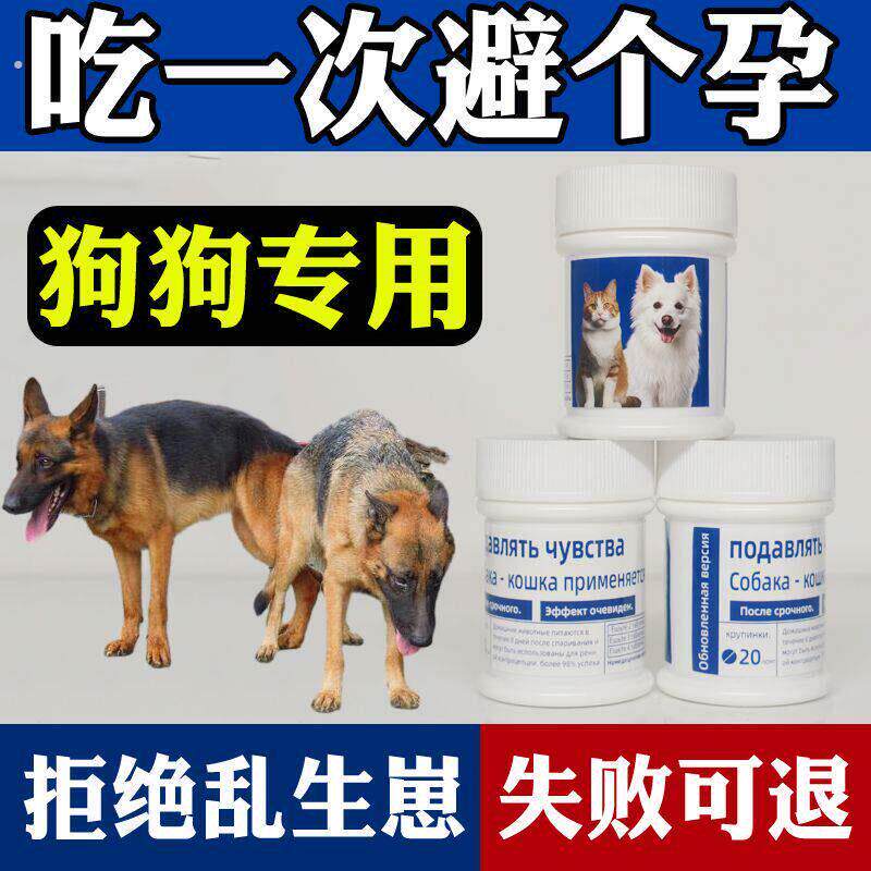 防母狗事紧狗狗交配育宠物母猫咪防止怀孕后土狗避流浪猫狗吃急
