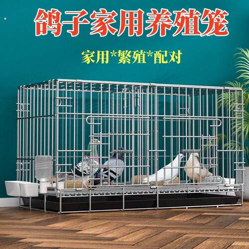 鸽子笼家用养鸽子专用笼繁殖笼养殖笼配对大号鸽舍鸽子笼子鸽子窝
