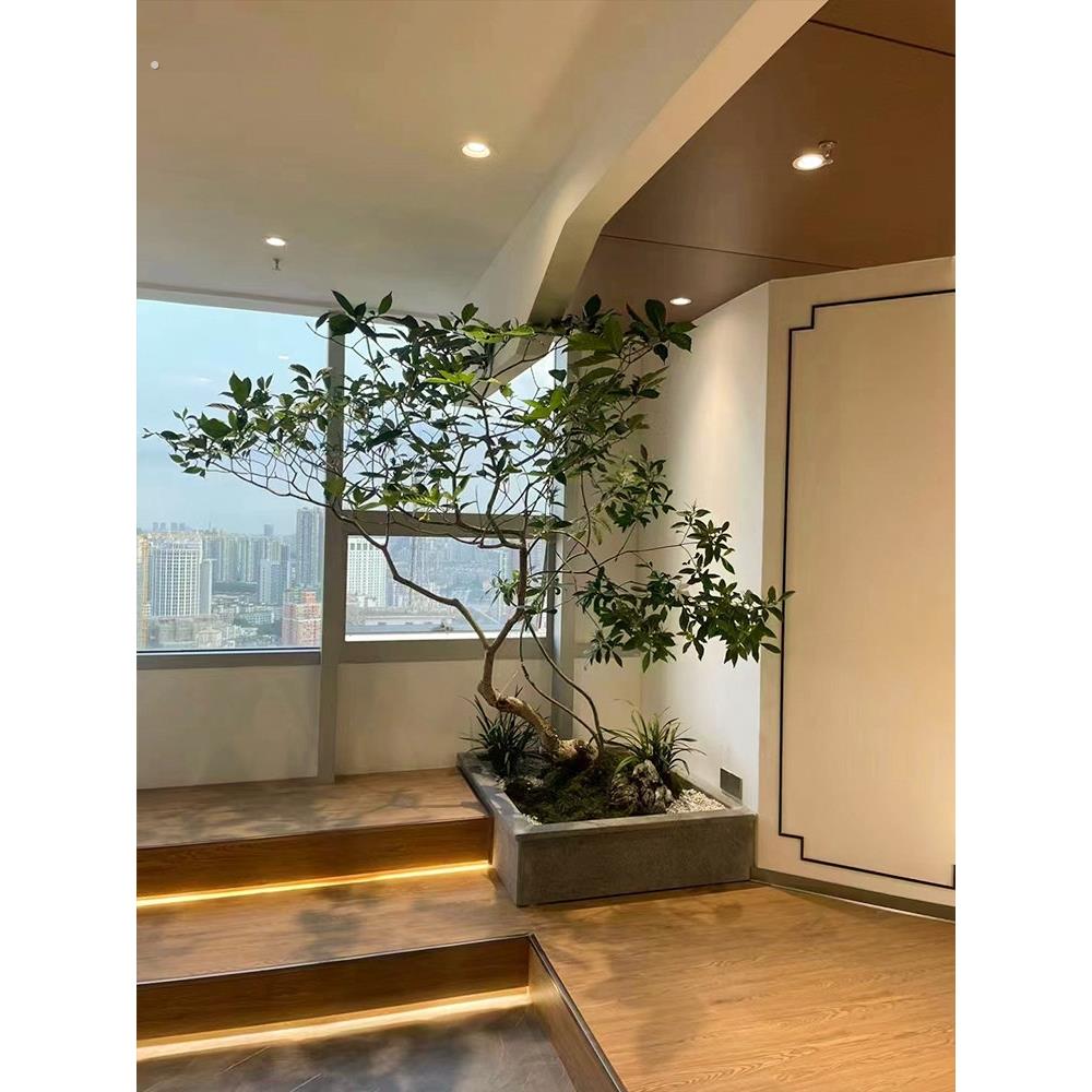 彷真树假树造景植物室内楼梯橱窗门店彷真绿植景观场景布置装饰