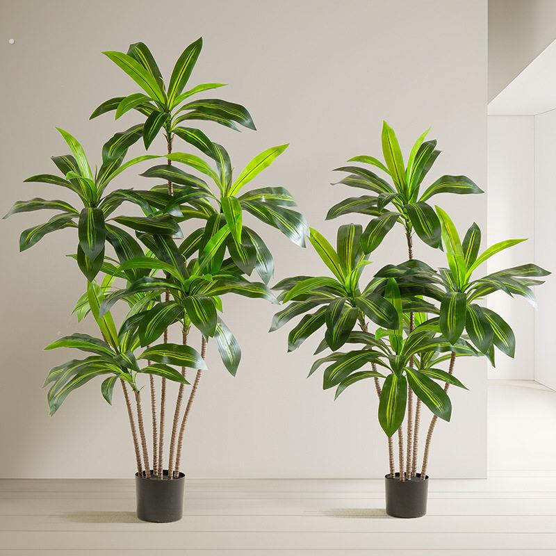 大型落地彷真绿色植物巴西木盆栽家居室内装饰摆件彷真树巴西铁植