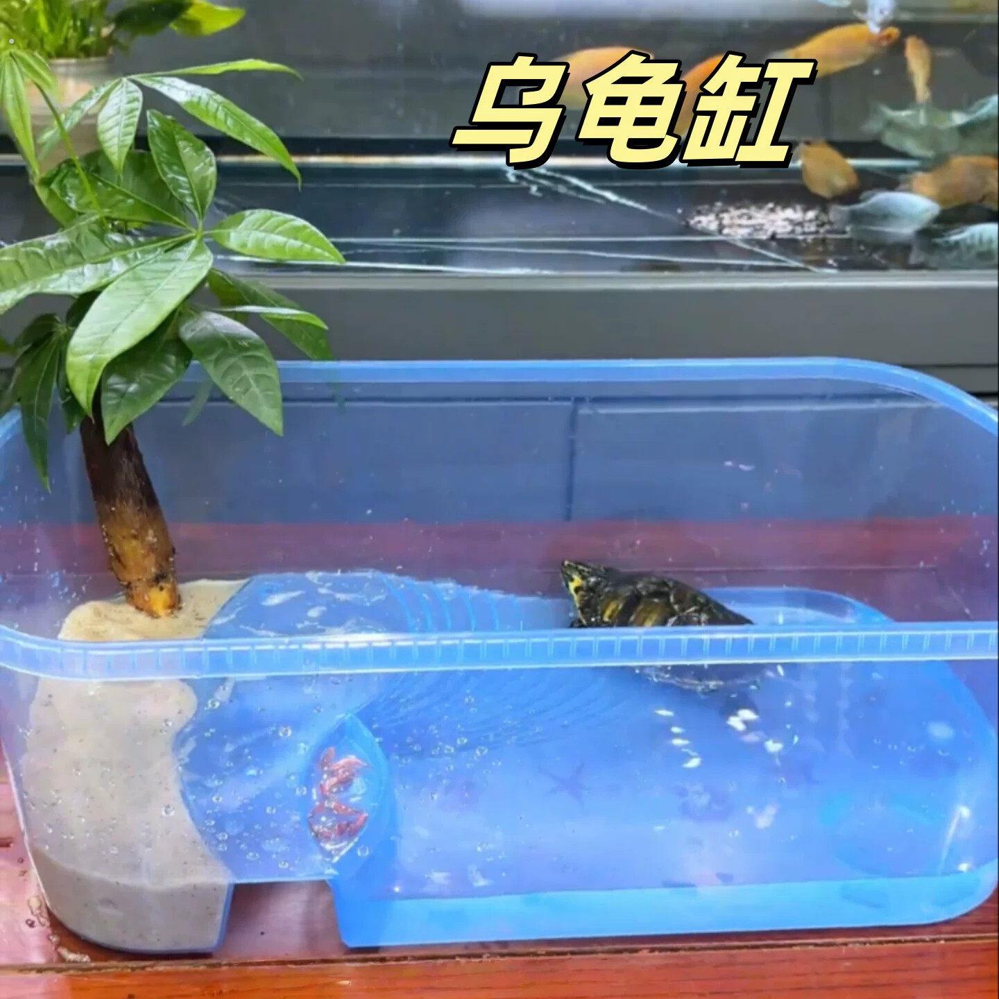 乌龟缸家用养乌龟专用缸大号爬梯水陆两栖生态缸干湿分离造景龟盆