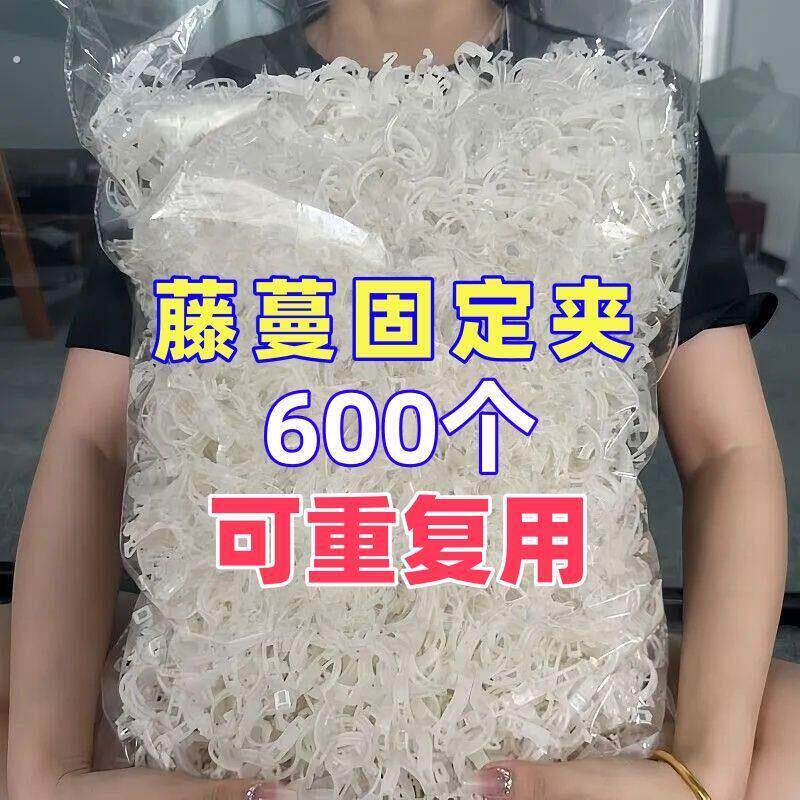 豆角黄瓜果树绑枝番茄神器藤蔓捆绑带固定卡扣扎带自动扣吊秧夹