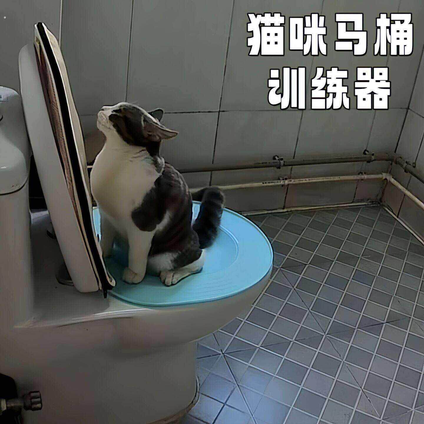 猫咪马桶训练器上厕所蹲厕训练神器可拆卸坐便猫砂盆防外溅猫砂盘