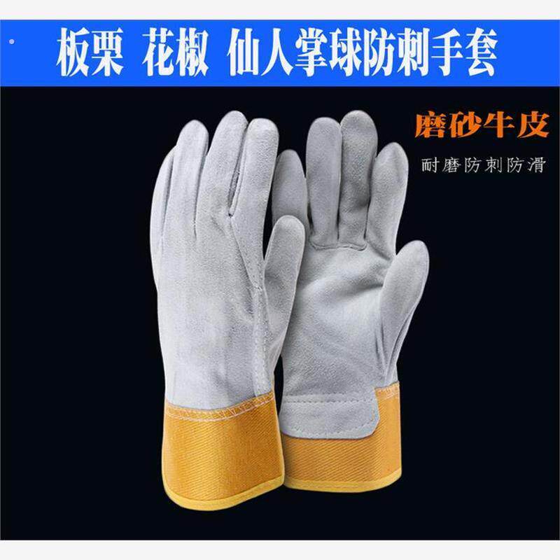 防针刺手套牛皮防刺穿玫瑰皂角树板栗月季刺猬防扎兔子输液针防护