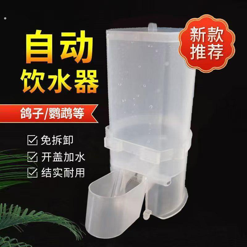 新款鸽子鸟用饮水器信鸽用具自动水壶鹦鹉喂水杯芦丁鸡小鸡饮水槽