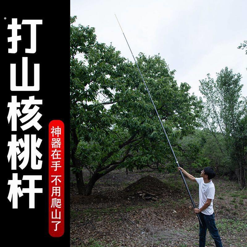 打山核桃专用伸缩杆子体杆碳素加厚硬质保年板栗加固多用