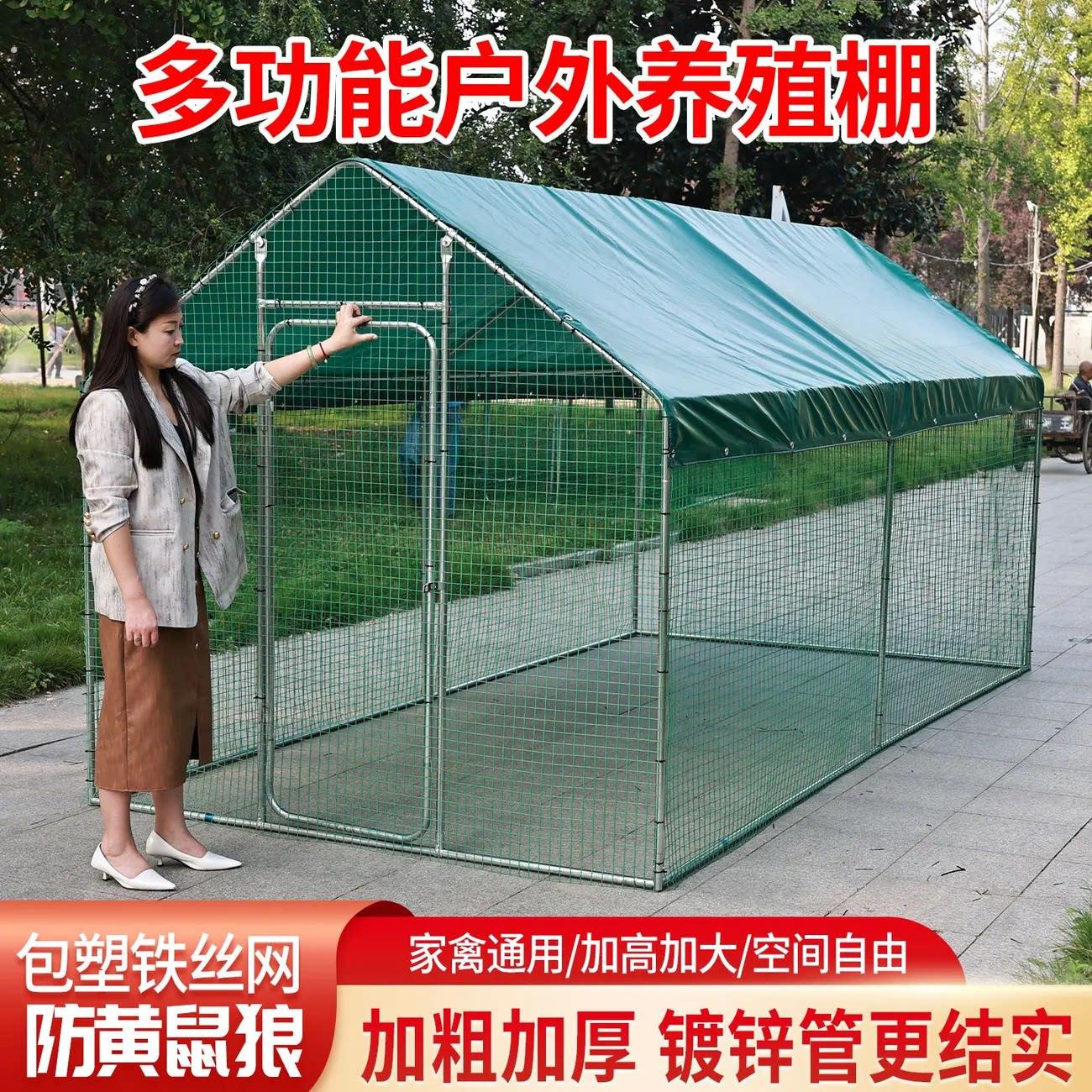 鸡棚子室外组装鸽笼专用棚大型鸡窝农场养鸡养殖户带顶钢管简易棚
