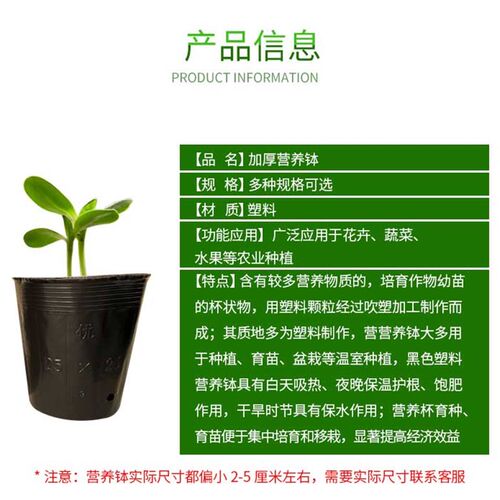 营养钵育苗杯营养袋耐用型树苗杯黑色塑料营养杯大号育苗盆一次性