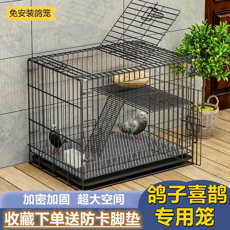 鸽子笼家用超大加密防鼠双层大空间兔笼子自进鸽笼喜鹊鸟笼子家用