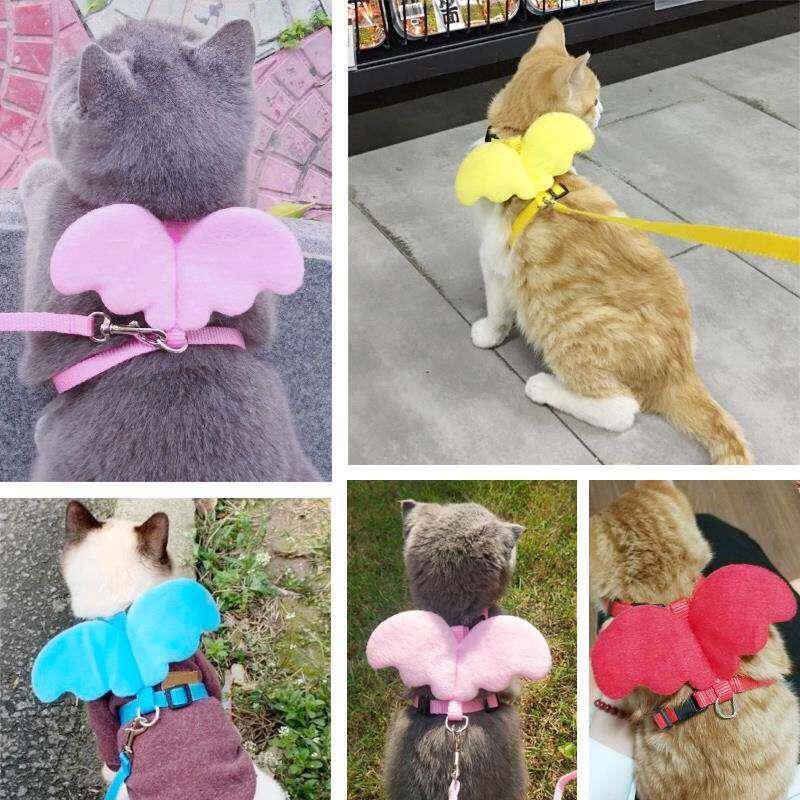 猫咪专用牵引绳小猫防挣脱幼猫遛猫栓猫链子猫绳子牵引带遛猫用品