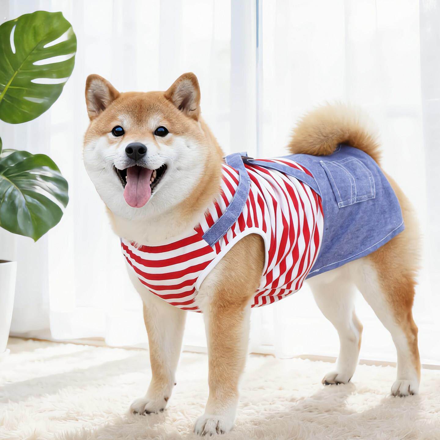 宠物狗狗春秋款背心薄款2026新款衣服柯基柴犬中型犬防掉毛护肚子