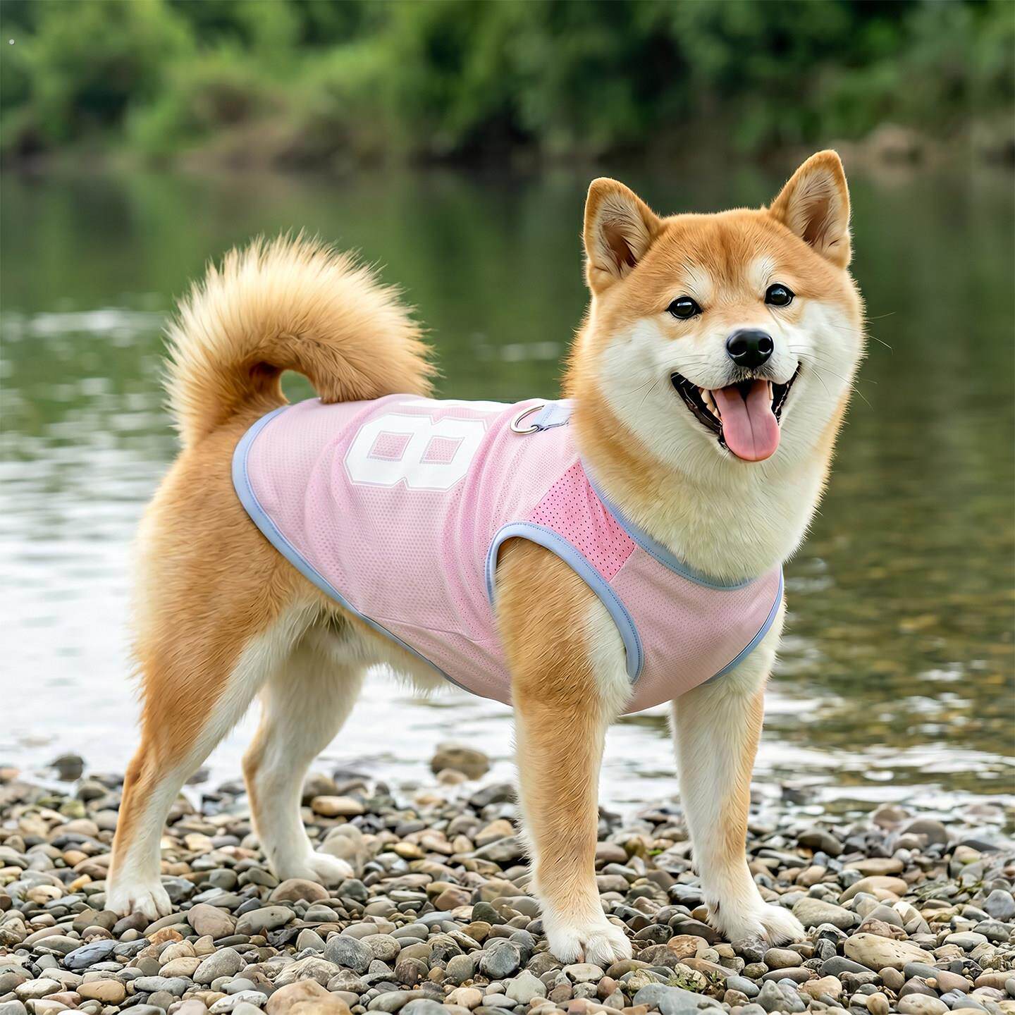 宠物狗狗薄款衣服夏季背心防晒透气2026新款柴犬柯基泰迪小狗夏天