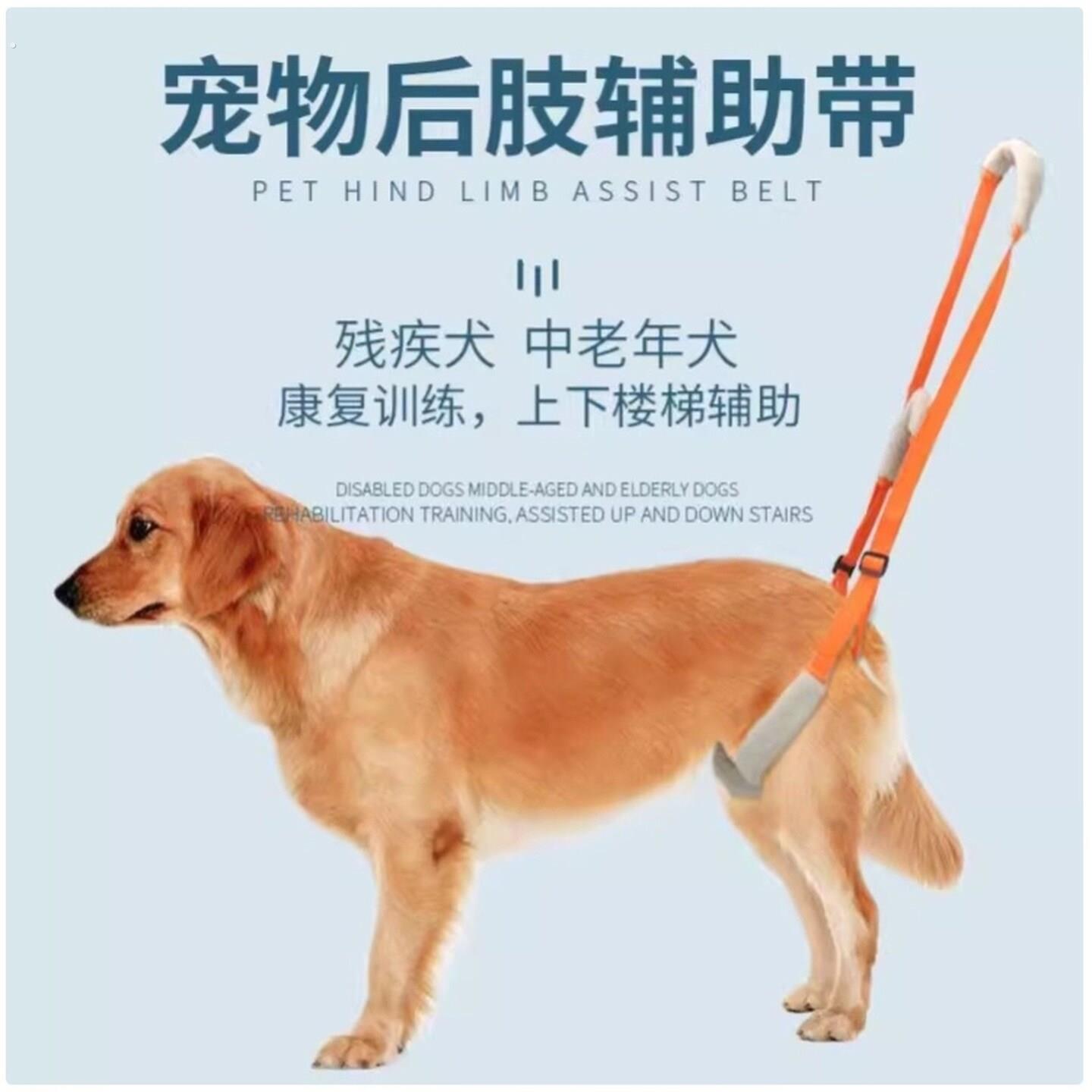 猫后腿无力辅助带高龄老年犬残疾犬宠物康复锻炼带上楼协助带遛猫
