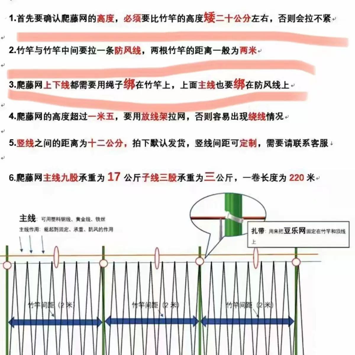 豆乐新型爬藤网豆角四季豆荷兰豆豌豆豆角爬藤网黄瓜丝瓜番茄