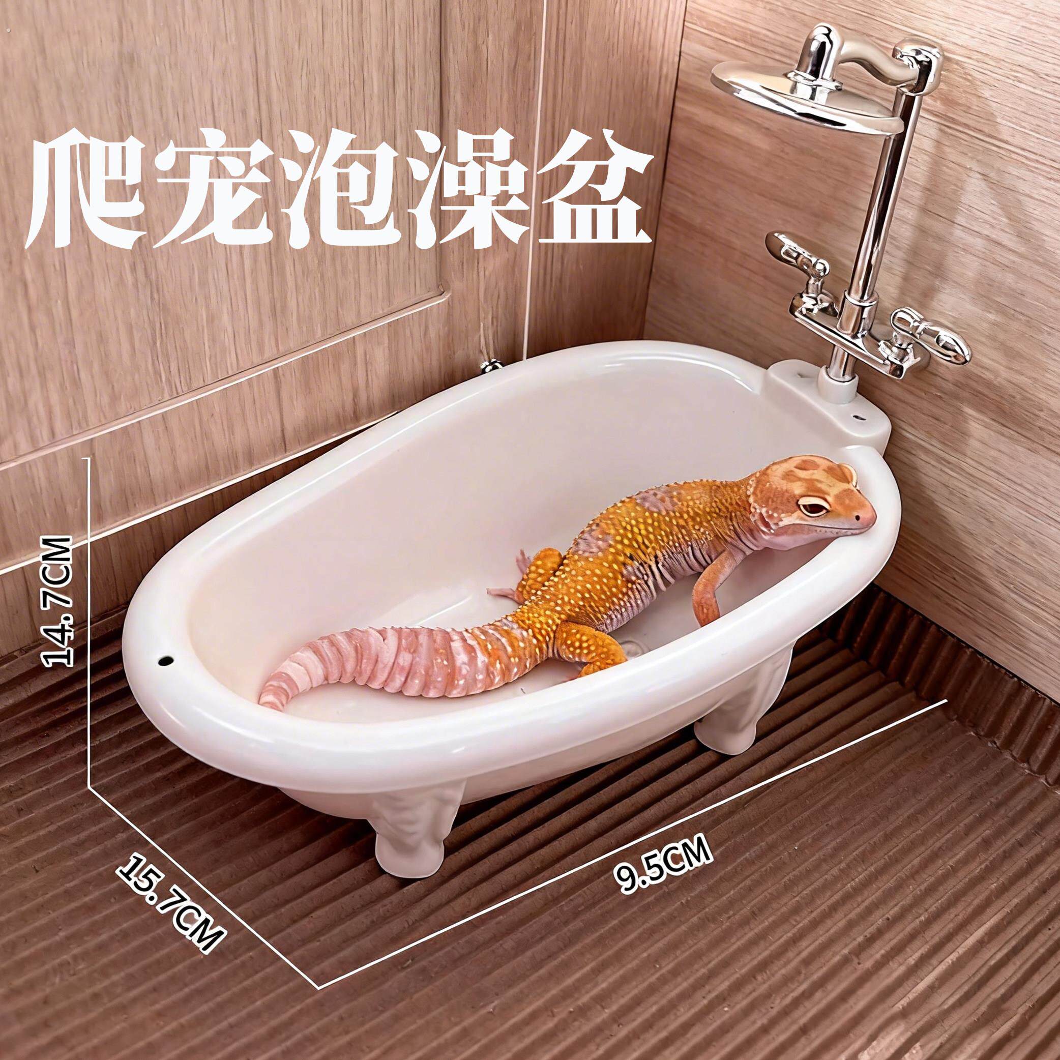 爬宠守宫水盆泡澡盆浴缸睫角豹纹蜥蜴生态造景饲养缸套装宠物用品